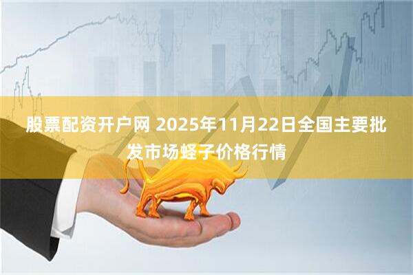 股票配资开户网 2025年11月22日全国主要批发市场蛏子价格行情