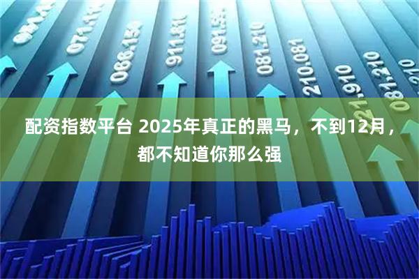 配资指数平台 2025年真正的黑马，不到12月，都不知道你那么强